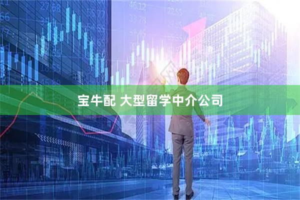 宝牛配 大型留学中介公司