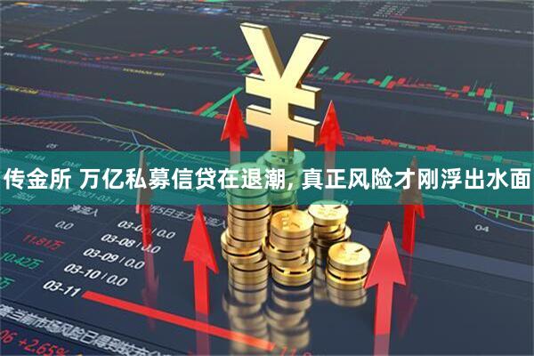 传金所 万亿私募信贷在退潮, 真正风险才刚浮出水面