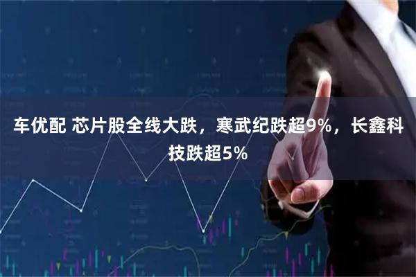 车优配 芯片股全线大跌，寒武纪跌超9%，长鑫科技跌超5%